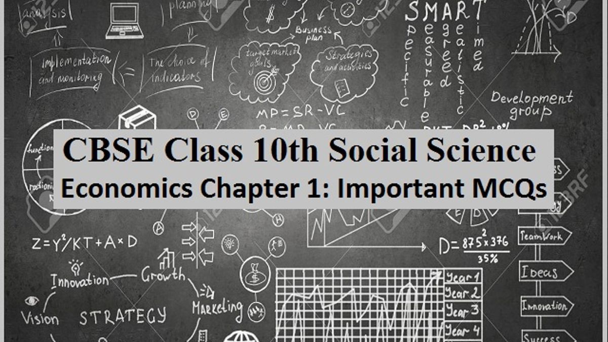 MCQs from Chapter 1 of Economics (Development)